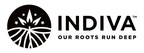 INDIVA Announces Incentive Stock Options