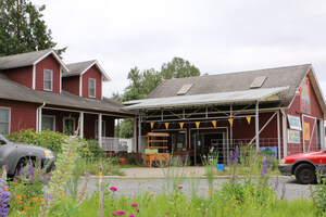 Farms, Festivals Celebrate Americana near Tacoma, Washington