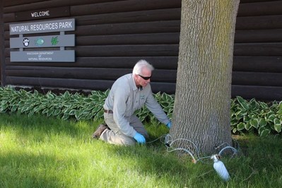 Jeff Palmer performing a tree injection.