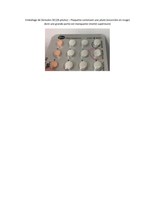 Emballage de Demulen 30 (28 pilules) – Plaquette contenant une pilule (encerclée en rouge) dont une grande partie est manquante (moitié supérieure) (Groupe CNW/Santé Canada)