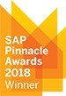 Navigator Business Solutions Receives 2018 SAP® Pinnacle Award: SAP® Business ByDesign® Partner of the Year