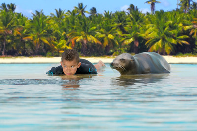 Playtime with Sea Lions at Dolphin Cay - Courtesy Atlantis, Paradise Island