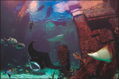 Snorkel The Ruins at Twilight - Courtesy Atlantis, Paradise Island