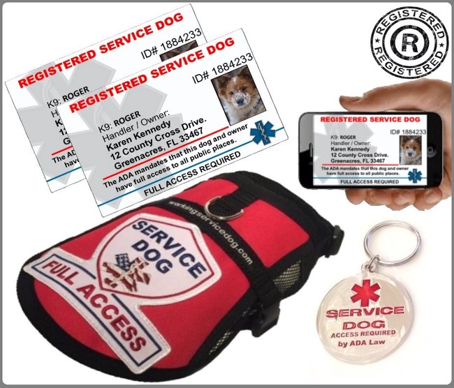 WorkingServiceDog.com Offers Conveniently Packaged Service Dog Gear ...