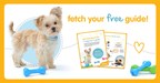Petplan Releases "Pet Insurance 101" Guide