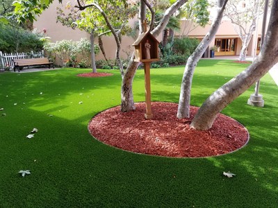 Installation by Grizzly Turf