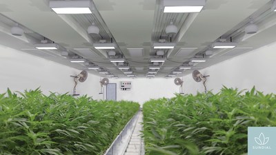 Rendering of the interior of one of Sundial's state-of-the-art custom built modular cultivation rooms. (CNW Group/Sundial Growers)