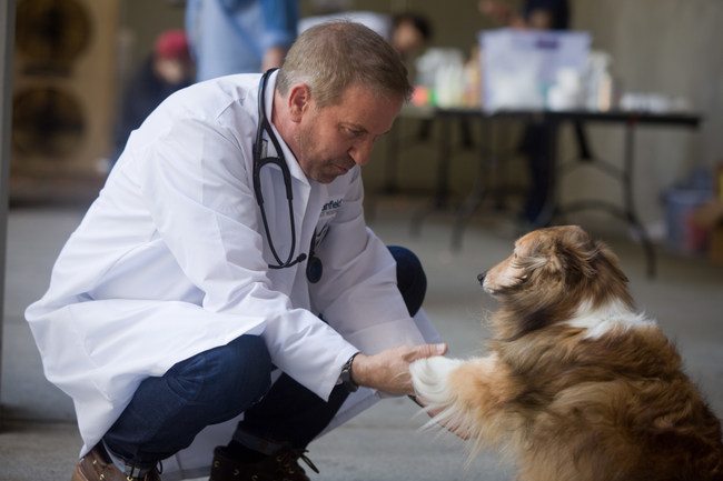 Banfield Pet Hospital Named One Of The 50 Most Community Minded Companies In The United States