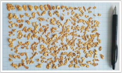 Figure 1: Bellary Dome Nuggets Recovered May 2018 (CNW Group/Pacton Gold Inc.)