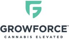 Extensive cannabis operations coming from new GrowForce and Peguis First Nation joint venture