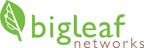 Bigleaf Networks Appoints Greg Davis as CEO