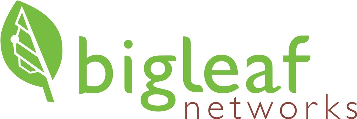 Bigleaf Networks Appoints Lori Stout as Chief Marketing Officer - Vimarsana News