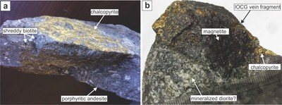 Figure 2. Photographs of hand samples taken from the 395M level. a) Sample of the porphyritic dike that crosscuts the Farellon vein, showing fracture-controlled dissemination of chalcopyrite and weak potassic alteration represented by shreddy biotite. b) Sample from the 8 m wide zone showing a fragment of the IOCG vein supported by a possible diorite with disseminated chalcopyrite. (CNW Group/Altiplano Metals Inc.)