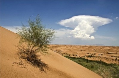 Kubuqi Desert