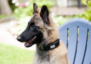 Wagz™ Unveils Dog Collar Wearable as Brains Behind the First Connected Pet Home System at SuperZoo 2018