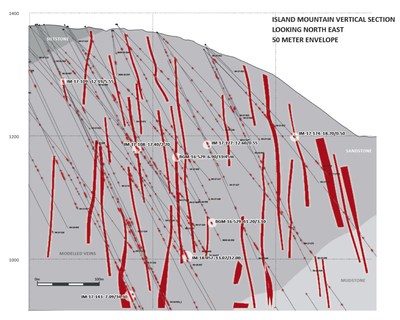 Island Mountain Vertical Section (CNW Group/Barkerville Gold Mines Ltd.)