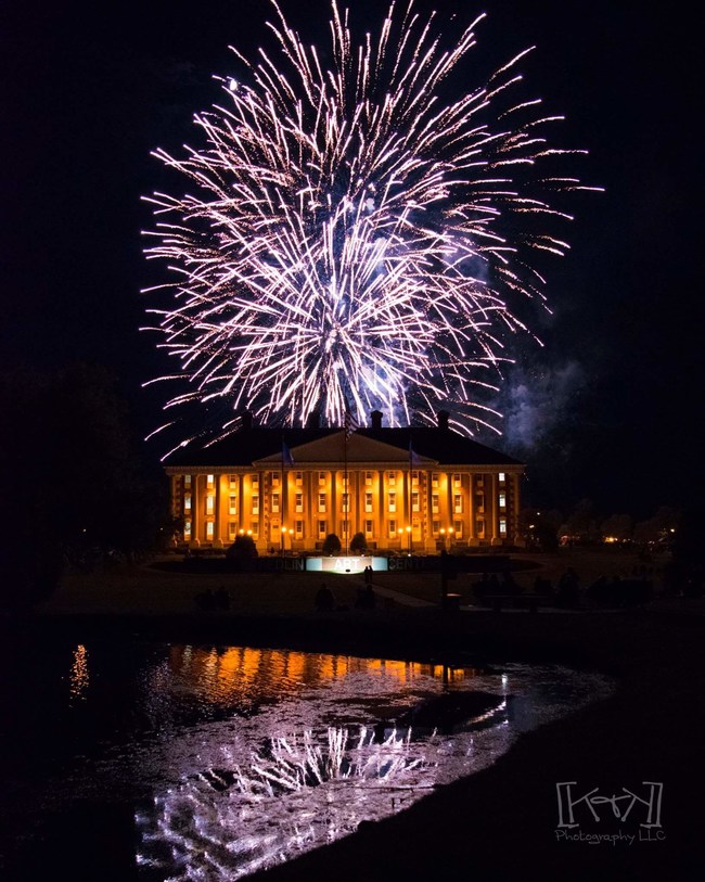 American Pyrotechnics Association Must See Independence Day