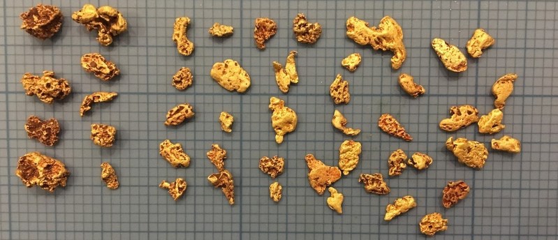 Figure 4: Gold Nuggets Discovered from the Prinsep Tenements (scale cm). (CNW Group/NxGold Ltd.)