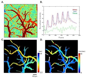 University of Electro-Communications eBulletin: Controlling Photons with a Photon