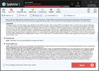 SpyHunter 5's Privacy Issues Scan Results