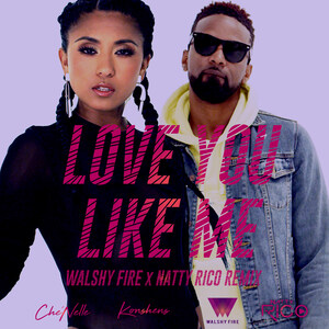International Recording Artist Che'Nelle Teams up with Dancehall Heavyweights Konshens, Walshy Fire, &amp; Natty Rico