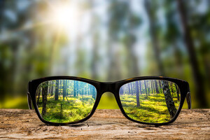 Keep a Clear Frame of Reference -- Financial Education Benefits Center on Vision Benefits
