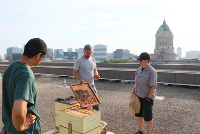 L'quipe de Beeproject Apiaries installe des ruches sur le toit de l'immeuble des bureaux de la Great-West, situ au 60 rue Osborne N.  Winnipeg. (Groupe CNW/La Great-West, compagnie d'assurance-vie)