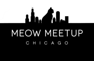 Cat Lovers Rejoice! First Ever Meow MeetUp Hits Chicago