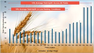 Indigo Wheat™ Demonstrates Continuous Improvement with Significant Yield Gains in Second Commercial Season