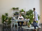 National Plants@Work Week's Pop-up Office-Library Cements the Need for Plants in Workplace Wellbeing