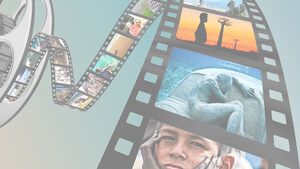 ECOSTREAMZ, the Documentary Streamer, Ups Its Eco-Social Platform With New Film Partners and Dr. Jane Goodall Joining Advisory Board