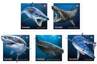 Des timbres mettent en vedette des requins du Canada (Groupe CNW/Postes Canada)