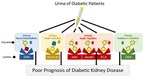 Okayama University Research: Diabetic Kidney Disease: New Biomarkers Improve the Prediction of the Renal Prognosis