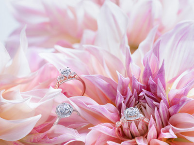 Helzberg Diamonds partners with Monique Lhuillier to launch new collection of engagement rings.