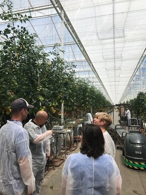 Representatives from Houweling's Tomatoes show SoCalGas leadership the new greenhouse thermal curtain system, designed to reduce heat loss at night, was purchased in part with a $176,000 rebate check through SoCalGas’ Energy Efficiency Rebates for Businesses (EERB) program.