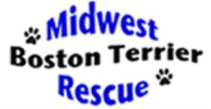 Midwest Boston Terrier Rescue to Host Fundraiser: Boston Bonanza… 20 Years and Counting
