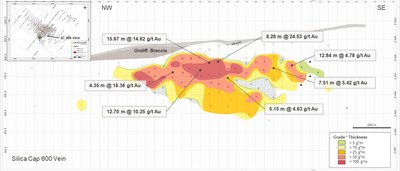 Figure 10: Longitudinal section of the Silica Cap 600 vein (Gato Salvaje). (CNW Group/Goldcorp Inc.)