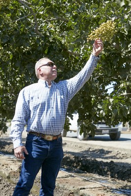 Pistachio grower Rick Borges