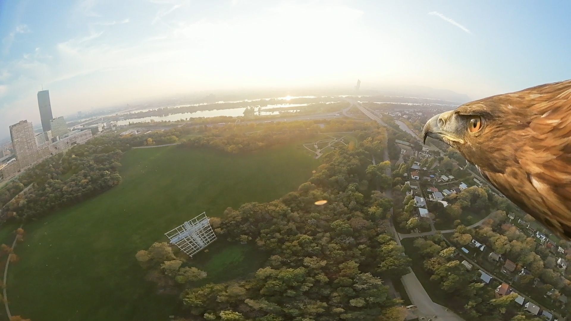 An Eagle S Eye View Of Vienna