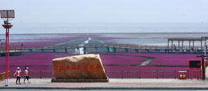 Red Beach has been identified on the location of China's northernmost coast