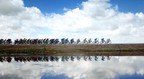 Behind the Breathtaking View along Route of Qinghai Lake Cycling Race