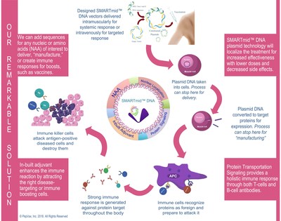 SMARTmid™ platform takes a simplified method to delivery and our “Trojan Horse” approach uses the patient’s own cells to manufacture the required proteins, T-cells and nucleic acids in vivo for cancers, infectious and genetic diseases.