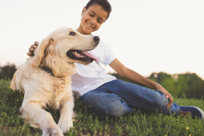 Healthy Paws ranked #1 pet insurance again by Canine Journal.