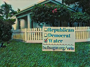 Bullsugar.org Launches 2018 Voter Guides for Florida Primaries