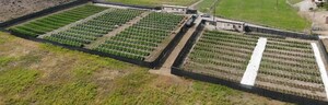 Marapharm Ventures Inc. reports on production of sun-grown cannabis facilities in Washington State