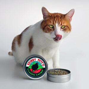 "Meow &amp; Paw" startup company launches the purrfect new product just in time for International Cat Day!