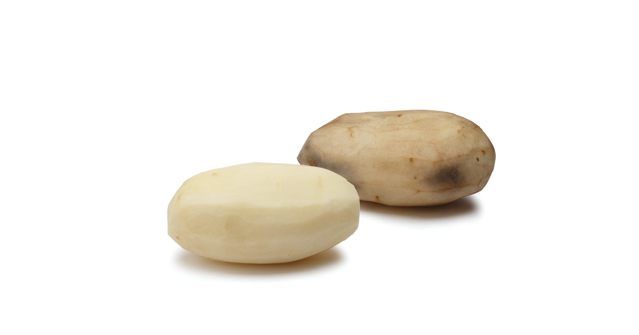 J.R. Simplot Company Secures Agricultural Research and Commercial ...