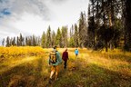 Discover Montana's Golden Season