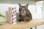 On International Cat Day Lil BUB And Halo® Give Your Cat A Free Can Of Holistic Natural Cat Food And Donate A Bowl Of Food To A Shelter Pet