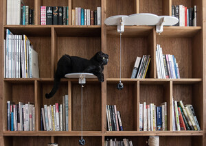 CATSSUP: A Floating Playground for Cats